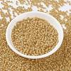 MIYUKI Round Rocailles Beads SEED-JP0009-RR0677-2