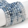 Natural Aquamarine Beads Strands G-B088-C24-03-1