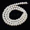 Natural Cultured Freshwater Pearl Beads Strands PEAR-L001-F-13-3
