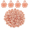 100Pcs Alloy Pendants FIND-ME0003-34-1