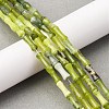 Natural Xiuyan Jade Beads Strands G-L624-G05-12x5mm-1
