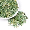 Picasso Transparent Glass Seed Beads SEED-N012-11H-1