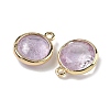 Natural Amethyst Faceted Flat Round Charms G-U028-03G-09-2