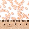 6/0 Glass Seed Beads SEED-XCP0001-19-4