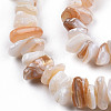 Natural Freshwater Shell Beads Strands SHEL-N026-210-3