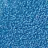 MIYUKI Round Rocailles Beads SEED-X0054-RR0573-3