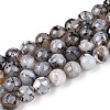 Dyed & Heated Natural Fire Crackle Agate Beads Strands G-N359-01B-04-2