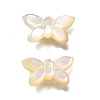 Natural White Shell Beads BSHE-Z008-02-2