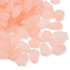 Frosted Transparent Acrylic Beads OACR-P029-04B-03-2