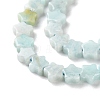 Natural Amazonite Beads Strands G-G085-B45-02-4