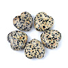 Natural Dalmatian Jasper Healing Stones PW-WGA91AE-11-1