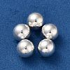 925 Sterling Silver Beads STER-Z008-01H-2