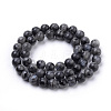 Natural Larvikite Beads Strands G-S259-06-12mm-2