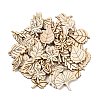 Unfinished Wooden Cutouts WD-CBACC5B-06-1