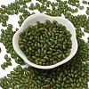 Transparent Colours Glass Seed Beads X-SEED-F006-03A-04-2