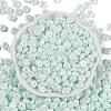 Opaque Colours Luster Glass Seed Beads SEED-P008-01C-04-3