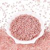 Baking Paint Glass Seed Beads SEED-Q041-03A-06-2