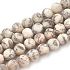 Natural Gemstone Beads Strands G-T106-242-1