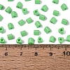 FGB Baking Paint Glass Seed Beads SEED-Q040-09A-12-4