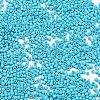 Baking Paint Glass Seed Beads X-SEED-S042-05B-58-3