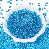 FGB Transparent Glass Seed Beads SEED-N013-01A-05-2