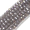 Baking Electroplate Glass Beads Strands LS-DGLA-A039-J10mm-B06-1