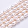 2 Strands Natural Cultured Freshwater Pearl Beads Strands PEAR-NB0001-10-8