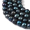 Dyed Natural Cultured Freshwater Pearl Beads Strands PEAR-L034-18A-4