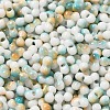 Baking Paint Glass Seed Beads SEED-F005-01A-06-3