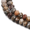 Natural Gobi Agate Beads Strands G-F668-25-B-4