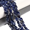 Natural Sodalite Beads Strands G-M435-A07-01-2