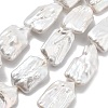 Natural Baroque Keshi Pearl Beads Strands PEAR-P064-01G-06A-2