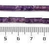 Natural Lepidolite/Purple Mica Stone Beads Strands G-NH0001-E04-01-5