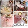 Polyester Organza Ribbons SRIB-WH20020-003B-01-5