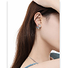 Fish Alloy Glass Stud Earrings FS-WG4D6D9-01-2