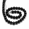 Natural Black Tourmaline Beads Strands X-G-P132-17-8mm-2