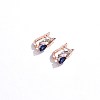 Brass Micro Pave Cubic Zirconia Hoop Earrings EJEW-BB48717-2