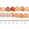 Natural Red Agate Beads Strands G-A248-A06-04-5