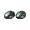 Natural Malachite Cabochons G-E464-42U-3