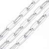 Tarnish Resistant 304 Stainless Steel Paperclip Chains CHS-F011-01A--P-2