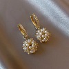Alloy Rhinestone Hoop Earrings FS-WG20219-01-1
