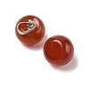 Natural Carnelian(Dyed & Heated) Apple Charms with Brass Snap on Bails G-L614-D02-2