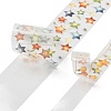 Festival Series Waterproof PET Decorative Stickers LS-DIY-Q052-01B-3