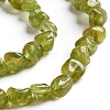 Natural Peridot Beads Strands G-D0002-B31-3