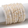 Natural Freshwater Shell Beads Strands X-SHEL-P017-01B-02-1