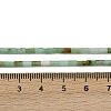 Natural Chrysoprase Beads Strands G-M389-22-5