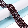 Natural Brazil Garnet Beads Strand G-C009-B05-2