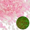 Luminous Transparent Acrylic Beads LACR-D009-01F-1