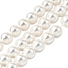 Rainbow Plated Shell Pearl Bead Strands BSHE-L025-02-10mm-1