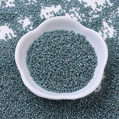 MIYUKI Delica Beads X-SEED-J020-DB0264-1